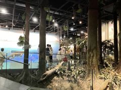 -浙江自然博物院(杭州馆)