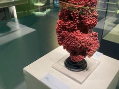 -上海中国航海博物馆