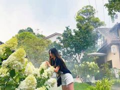 -三圣花乡旅游区