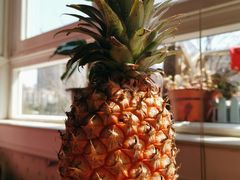 -上海龙吴水胜海发市场