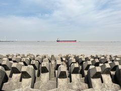 -上海滨江森林公园