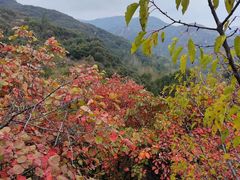 -环翠峪风景区