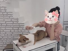 -白夜2D咖啡馆