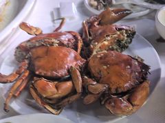 -阳江餐厅·26年老字号·粤菜海鲜大排档