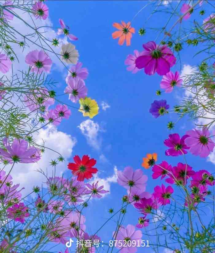 太太满庭芳(经开店)-"我是个沉默不语的靠着墙壁晒太阳的过客 .