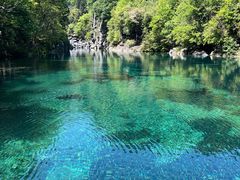 -石台牯牛降景区