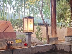 -西安国际创新人才交流中心•药浴温泉