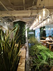 -悦诗风吟innisfree