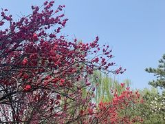 -国家植物园