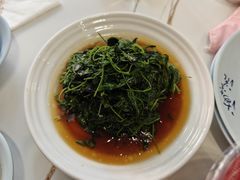 -海金滋(陕西南路店)