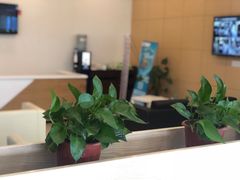 -上海交运崇明上汽荣威4S店(崇明区店)