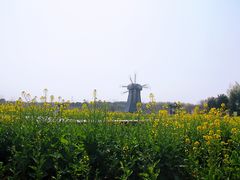 -武汉紫薇都市田园