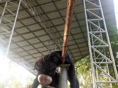 -清迈夜间动物园