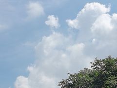 -沈阳辉山风景区