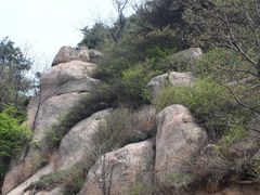 -鲁山国家森林公园