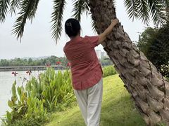 -枫香湖儿童公园