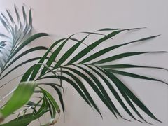 -东方足浴·洗浴SPA会所(长治路店)