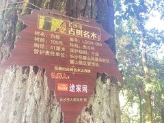 -岳麓山风景名胜区