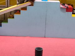 -台场海滨公园船码头