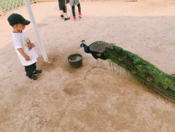 点击看大图 -萌宠亲子动物乐园(槐房万达店)