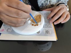 -她时区金吉兒月子中心(太湖度假店)