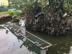 景观位-八景休閒山莊  廣東十大名山莊