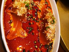 -丹江渔村(望京店)