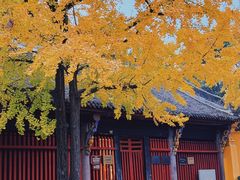 -成都市文殊院