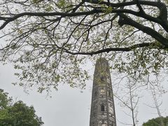 -上海佘山国家森林公园天马山园