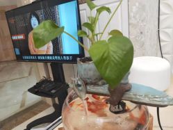 -Cocodemer女性健康·产后恢复(天一广场店)