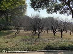 -无锡梅园公园