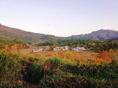 -塔川景区