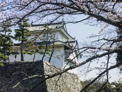 -名古屋城