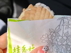 无糖椰子-桂香村(护国寺店)