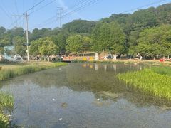 -佛手湖郊野公园