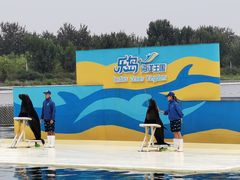 -秦皇岛乐岛海洋王国