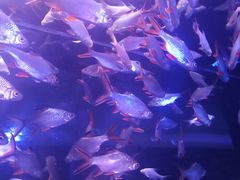 -成都浩海立方海洋公园