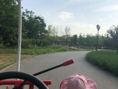 -永定河休闲森林公园