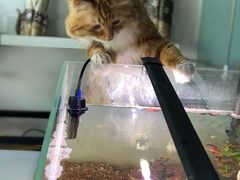 -平行世界·猫咖(首经贸店)