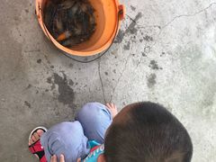 -小象钓虾·营地烧烤(洛溪店)