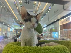 -万达广场(北京槐房店)