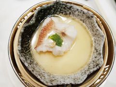 东星斑-誉珑轩