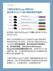 -安吉拉青春化管理中心