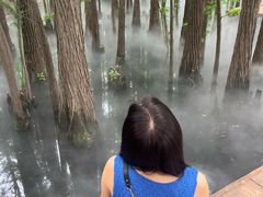 -东湖落雁景区