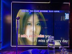 -温莎KTV(珠江路店)