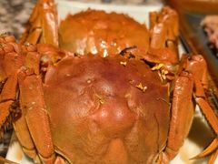 -南京大牌档(中关村领展广场店)