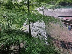 -藏龙百瀑风景区