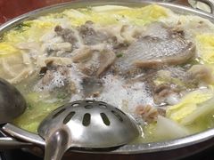 羊肉羊肚火锅-藏书金记家宝羊肉馆(黄河北路店)