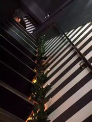 -意念造型