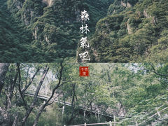 -牛背梁国家森林公园